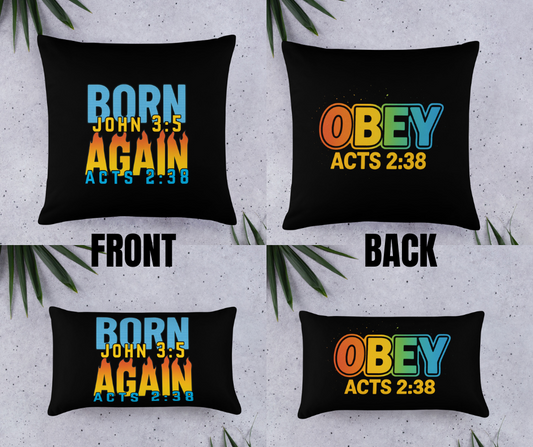 BORN AGAIN PILLOW