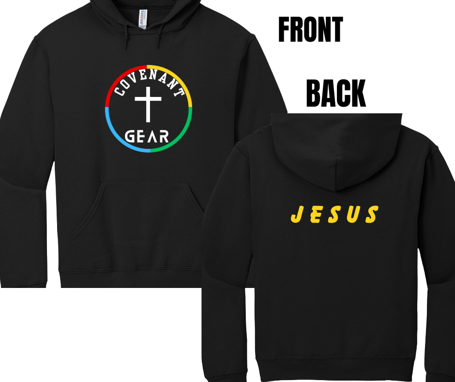 5 COLOR OPTIONS- CG COLOR WHEEL HOODIE- (SIZE CHART BELOW)
