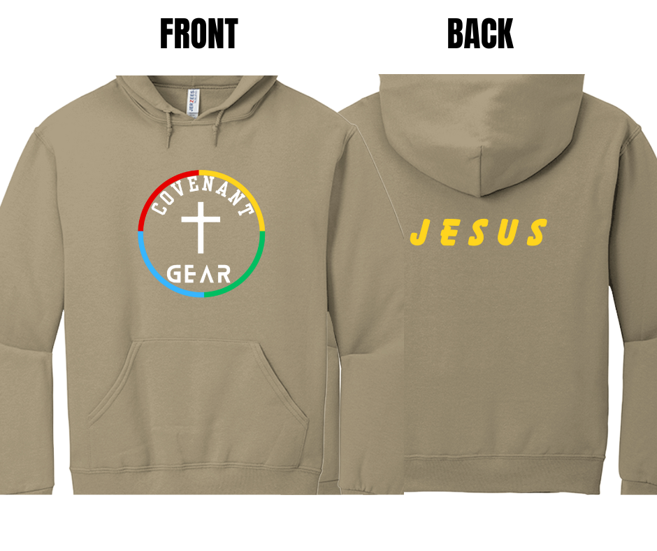5 COLOR OPTIONS- CG COLOR WHEEL HOODIE- (SIZE CHART BELOW)