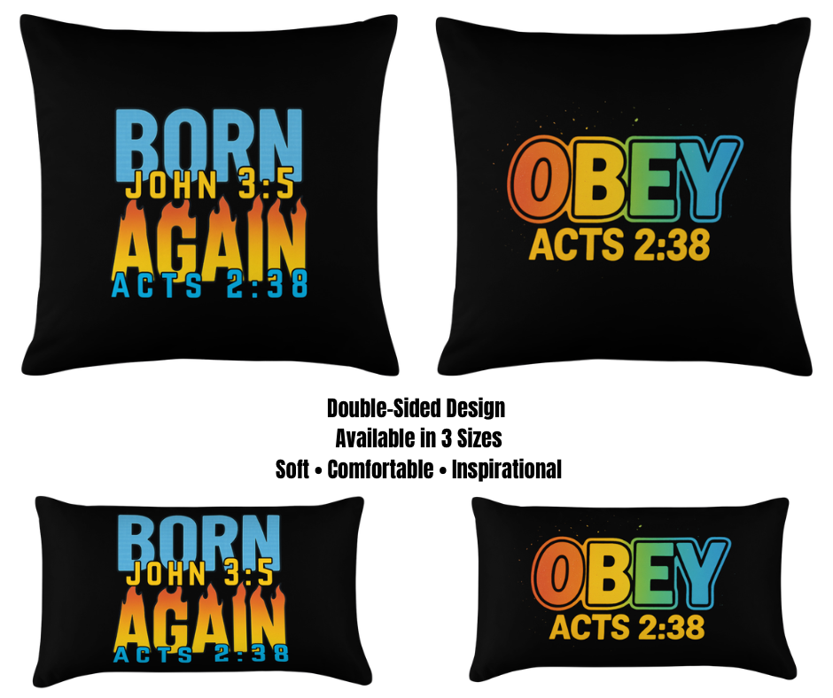 BORN AGAIN PILLOW
