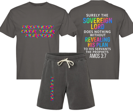 Prophesy Your Future T-Shirt | Christian Apparel