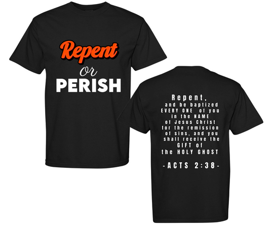Repent or Perish | Christian Gospel T-Shirt