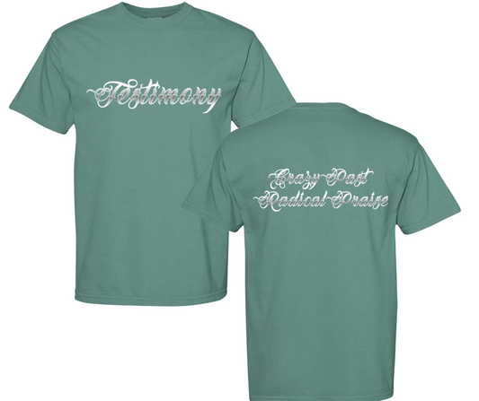 Testimony | Christian Apparel T-Shirt