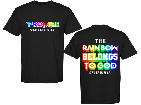 Promise Ark Rainbow T-Shirt | Faith- Based Apparel