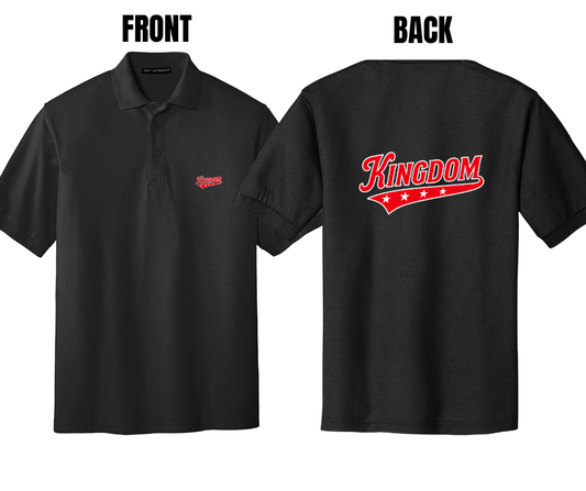 5 COLOR OPTIONS- Kingdom Men's Polo