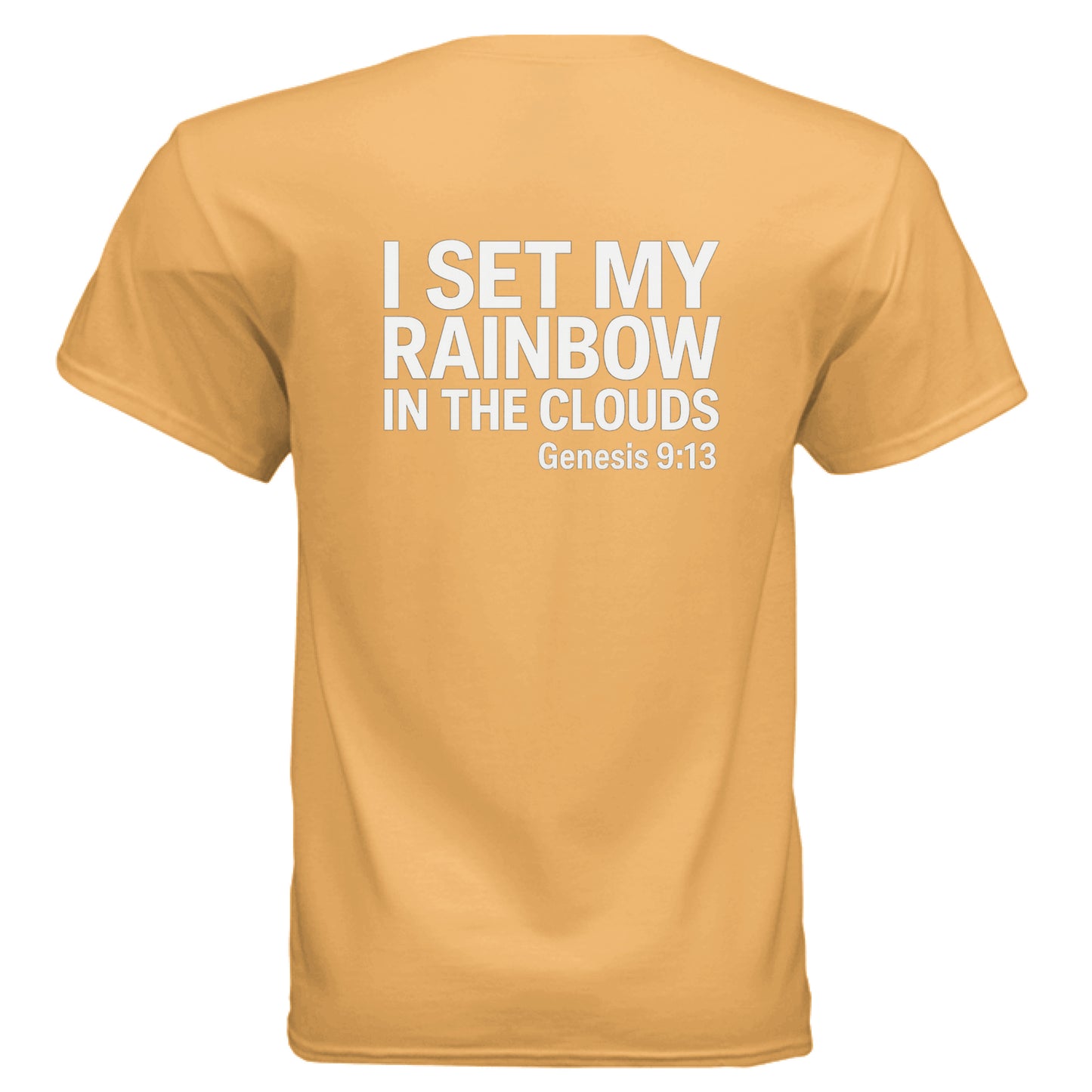 TENNESSEE ORANGE - BACK