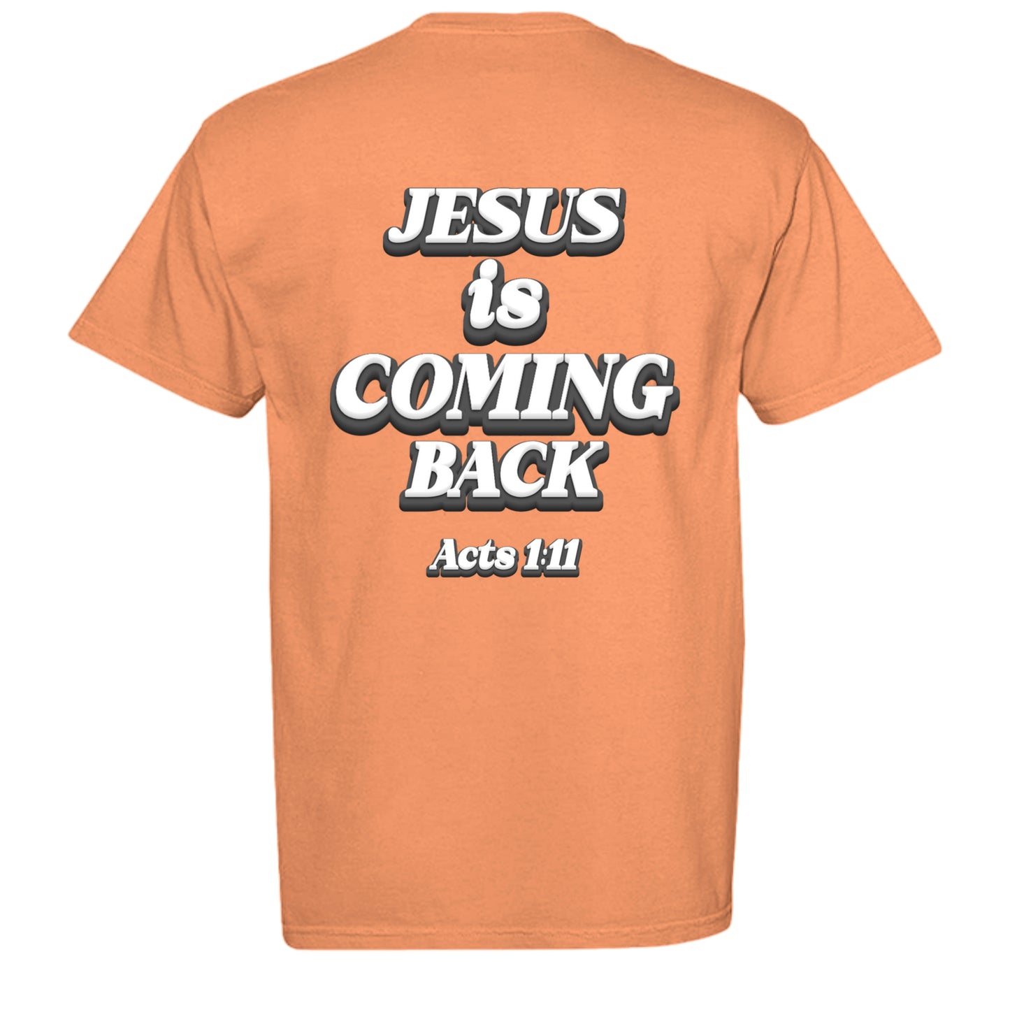 BURNT ORANGE - C1717 - BACK