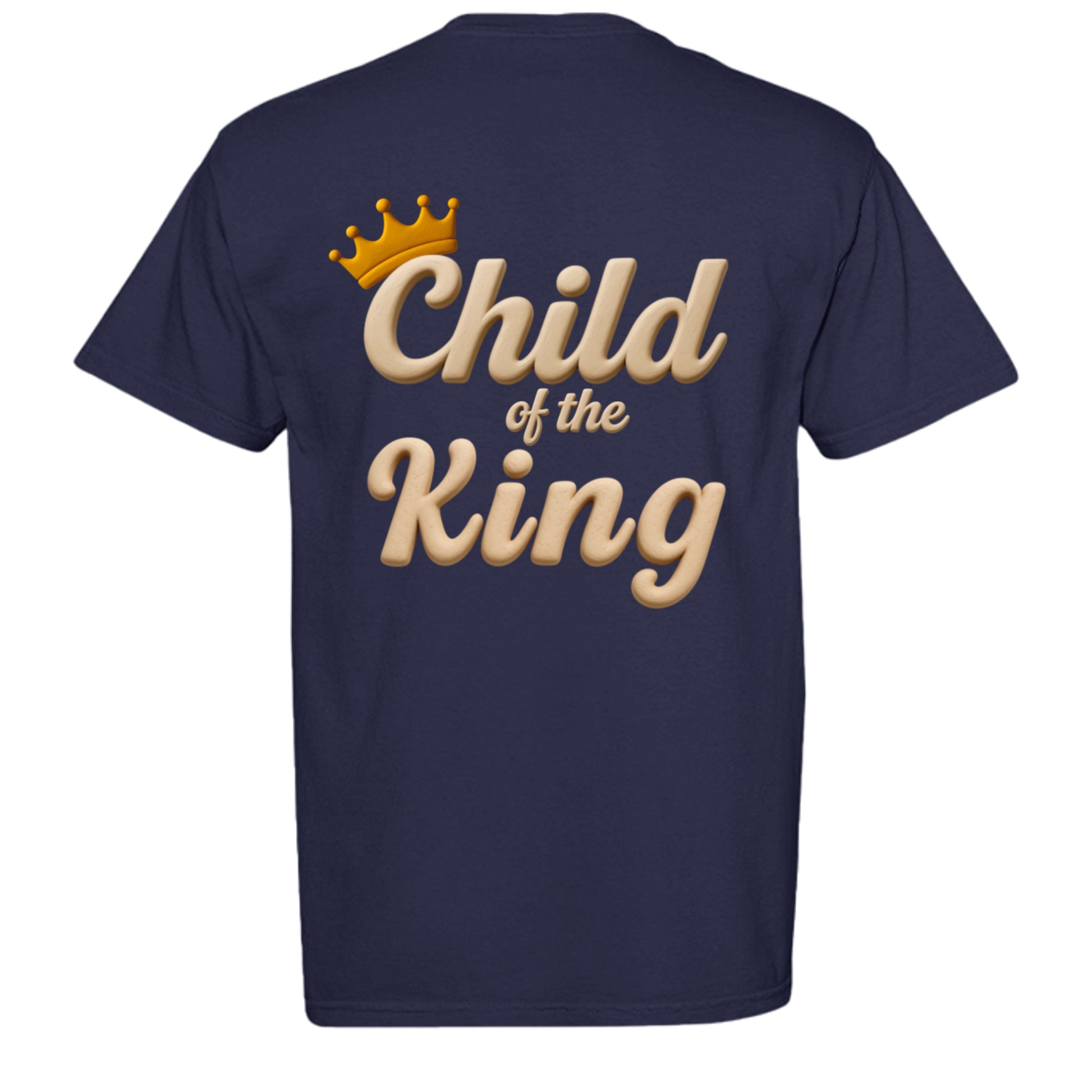 TRUE NAVY - C1717 - BACK