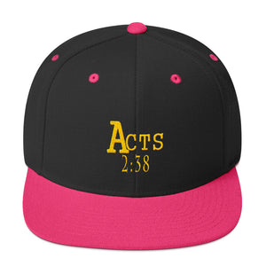 Acts 2:38 Gold Embroidery Snapback Hat