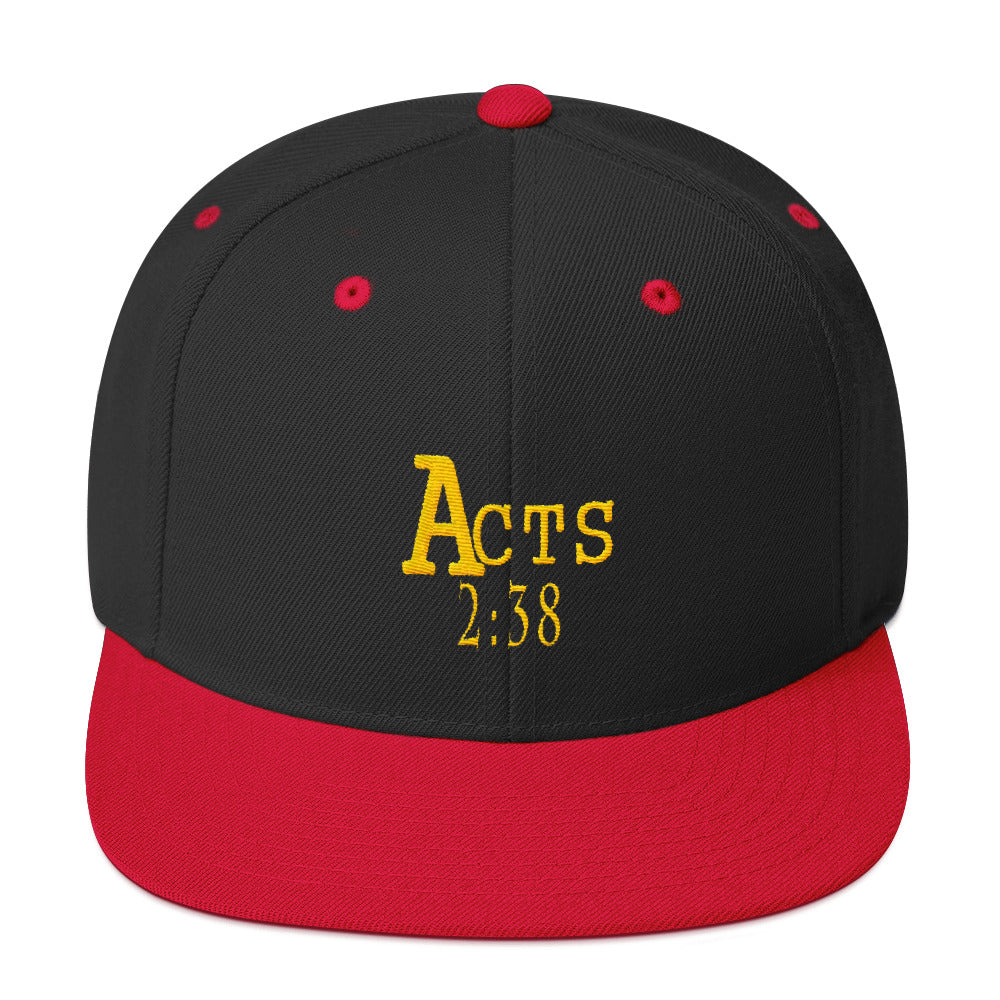 Acts 2:38 Gold Embroidery Snapback Hat